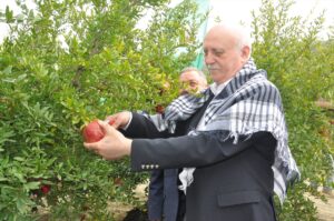 İZMİR (AA) – Türkiye Ziraat Odaları Birliği (TZOB) Genel Başkanı