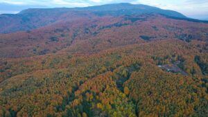 BURSA (AA) – Türkiye'nin kayak ve kış turizminin önemli merkezlerinden