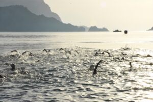 MUĞLA (AA) – Muğla'nın Marmaris ilçesinde düzenlenen 25. Uluslararası Arena