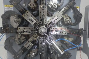 KIRKLARELİ (AA) – UFUK ERTOP – Kırklareli'nde yaşayan girişimci Tuğrul