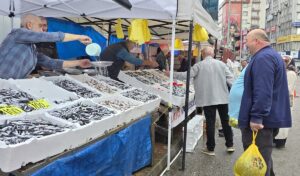 ZONGULDAK (AA) – Zonguldak'ta balık tezgahlarında hamsi bolluğu yaşanıyor. Son