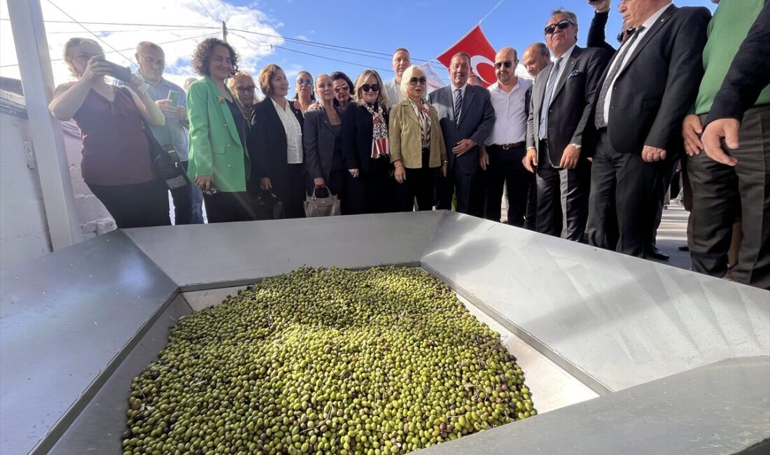 MUĞLA (AA) – 11. Uluslararası Milas Zeytin Hasat Şenliği kapsamında