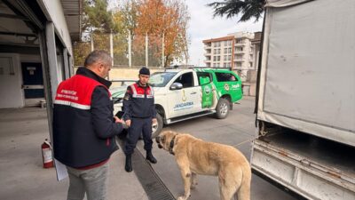 AFYONAKARAHİSAR (AA) – Afyonkarahisar'da köpek dövüştüren 12 şüpheli gözaltına alındı.