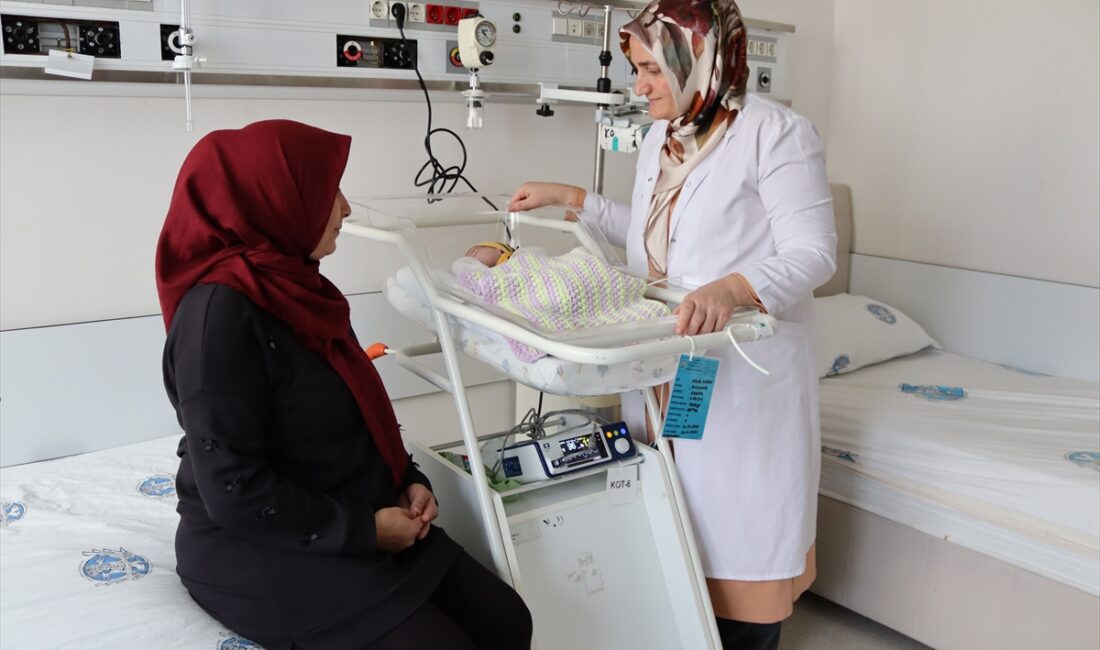 - Konya'da kalpten çıkan ana atardamar ile akciğere giden ana