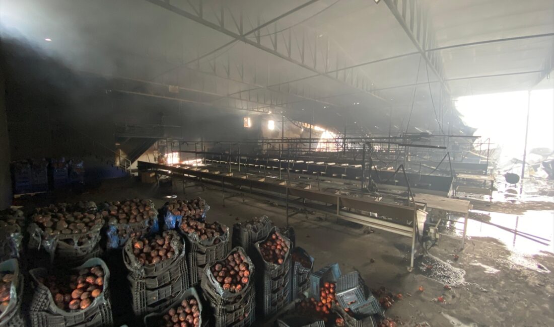 ANTALYA (AA) – Antalya'nın Aksu ilçesinde, bir meyve sebze paketleme