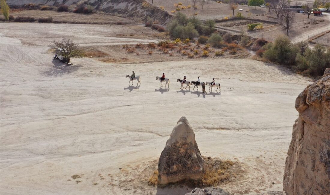 - Türkiye Seyahat Acentaları Birliği İç Turizm İhtisas Başkan Yardımcısı