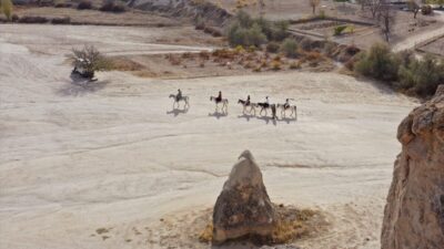 - Türkiye Seyahat Acentaları Birliği İç Turizm İhtisas Başkan Yardımcısı