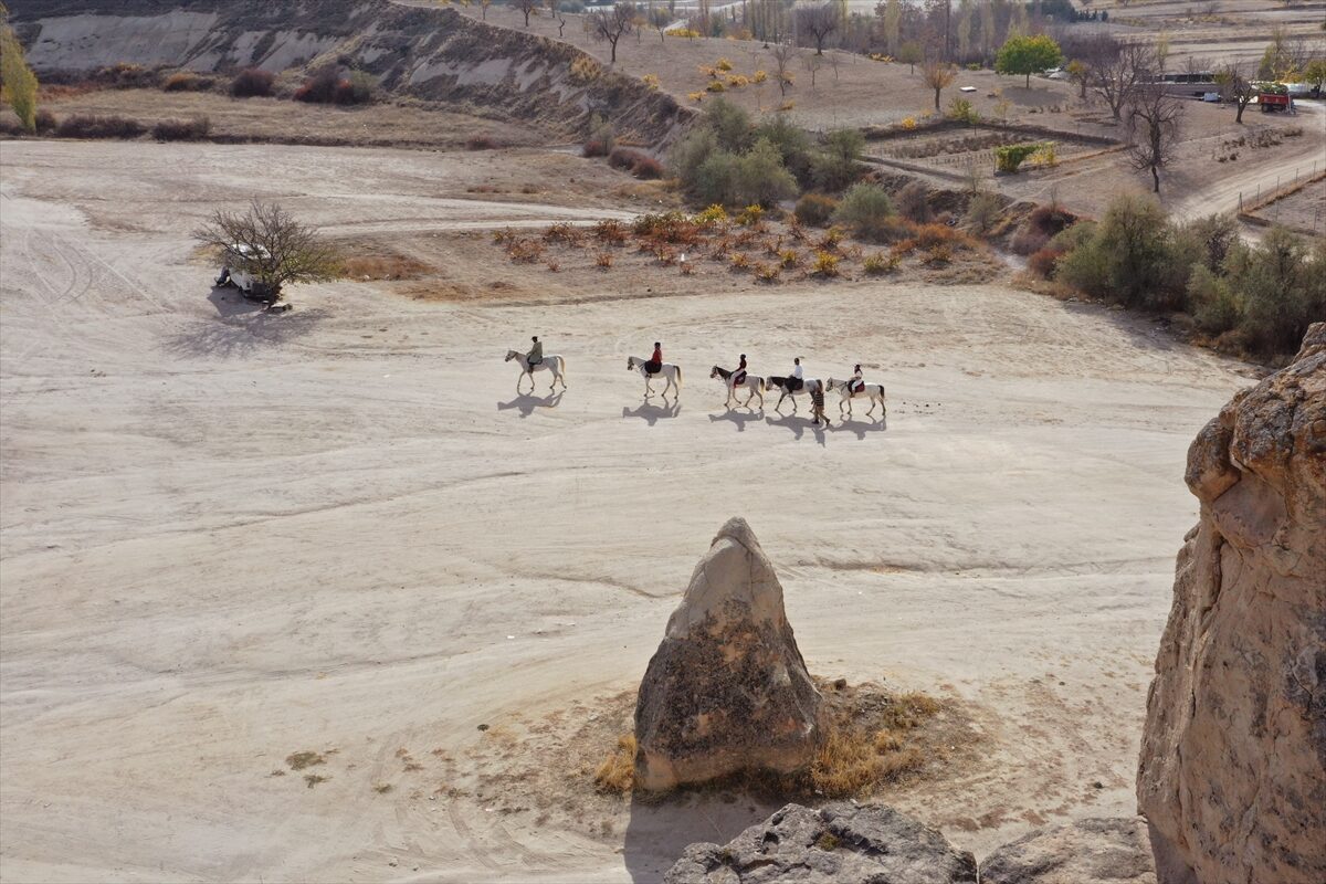 - Türkiye Seyahat Acentaları Birliği İç Turizm İhtisas Başkan Yardımcısı