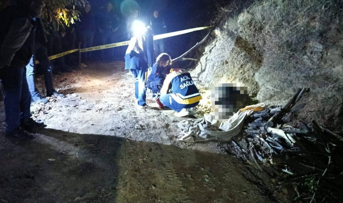 AYDIN (AA) – Aydın'ın Nazilli ilçesinde, odun toplamak için kestane