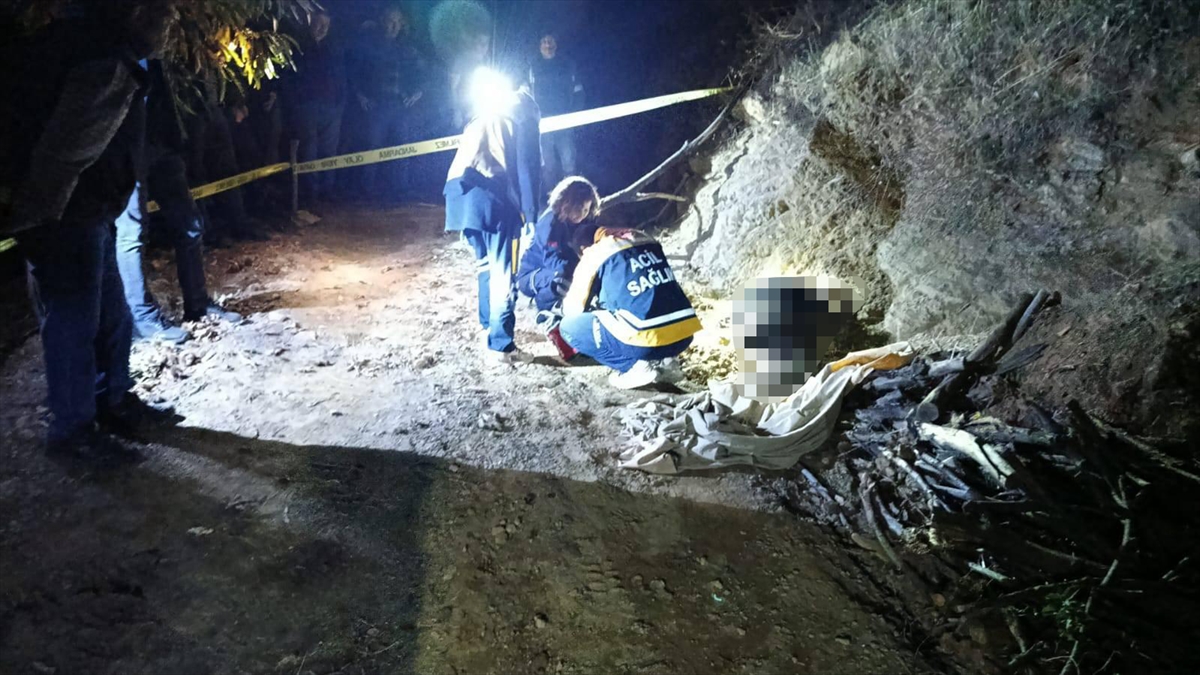 AYDIN (AA) – Aydın'ın Nazilli ilçesinde, odun toplamak için kestane