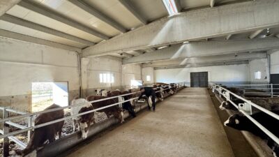 - Van'ın Edremit ilçesinde besicilik yapan Lokman Turşak, Tarım ve