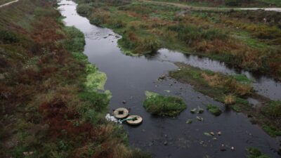 - Bandırma Onyedi Eylül Üniversitesi Denizcilik Fakültesi Öğretim Üyesi Prof.