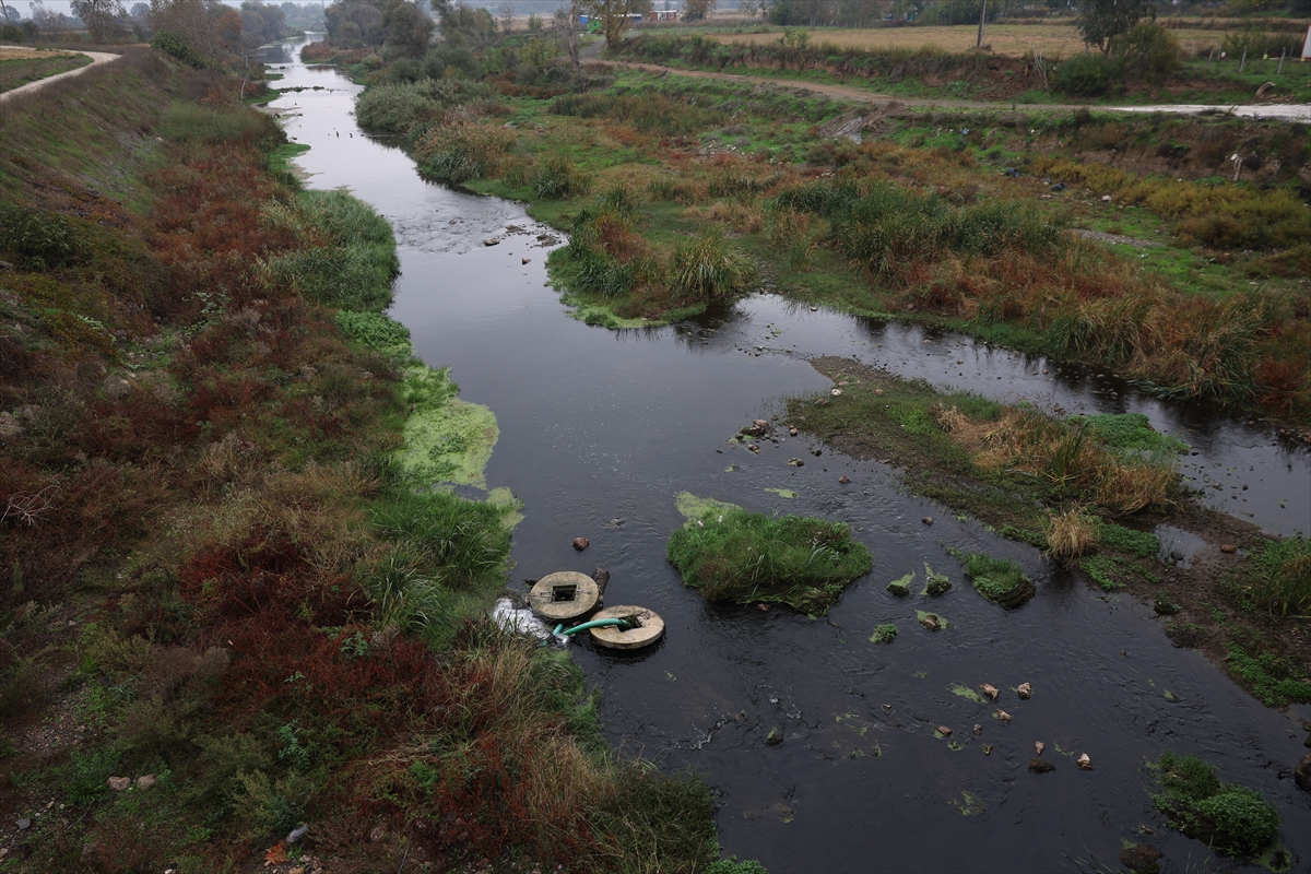 - Bandırma Onyedi Eylül Üniversitesi Denizcilik Fakültesi Öğretim Üyesi Prof.