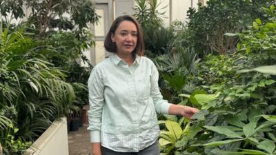 - Süs bitkileri pazarlama sorumlusu Emine Çakan:
- "Üreticiler 2 sene