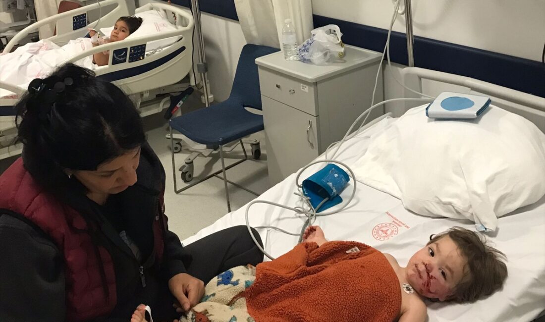 - İkamet ettikleri apartmanda komşularının beslediği pitbull cinsi köpeğin saldırısına