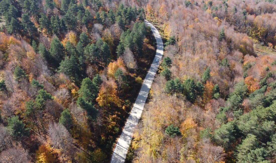 BİLECİK (AA) – Bilecik'in Pazaryeri ilçesindeki Küçükelmalı Tabiat Parkı ile