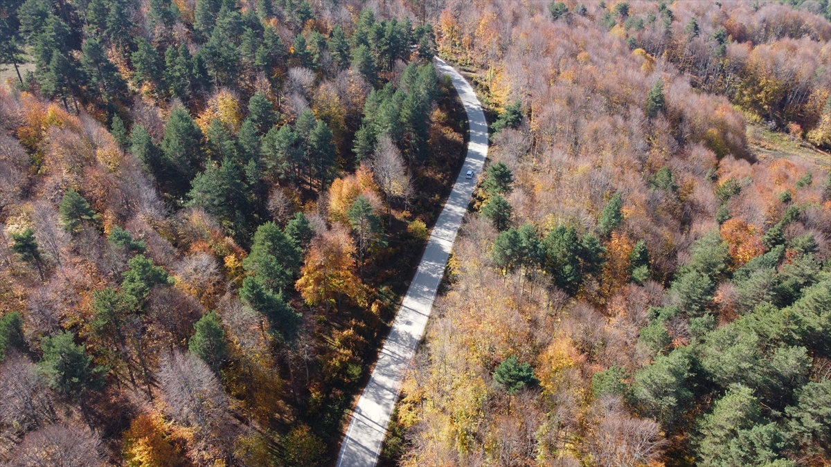 BİLECİK (AA) – Bilecik'in Pazaryeri ilçesindeki Küçükelmalı Tabiat Parkı ile