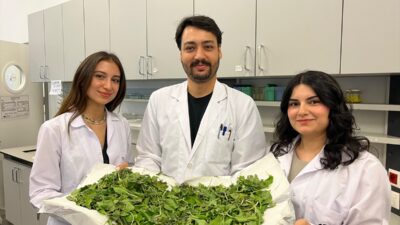 İSTANBUL (AA) – İstanbul Bilgi Üniversitesi öğrencileri Ayşegül Şahin ve