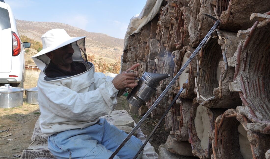 BİTLİS (AA) – Bitlis'in Hizan ilçesinde zengin bitki örtüsüne sahip