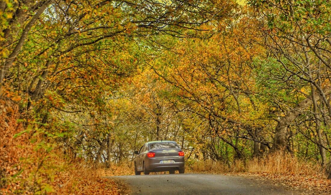 BİTLİS (AA) – Bitlis'in Hizan ilçesinde sonbaharın gelmesiyle ormanlar hazan