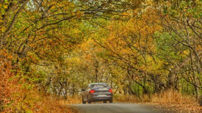 BİTLİS (AA) – Bitlis'in Hizan ilçesinde sonbaharın gelmesiyle ormanlar hazan