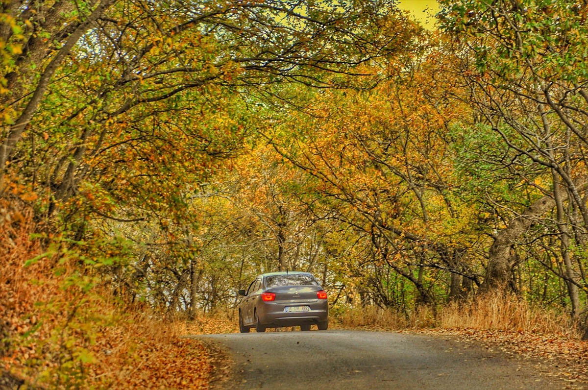 BİTLİS (AA) – Bitlis'in Hizan ilçesinde sonbaharın gelmesiyle ormanlar hazan