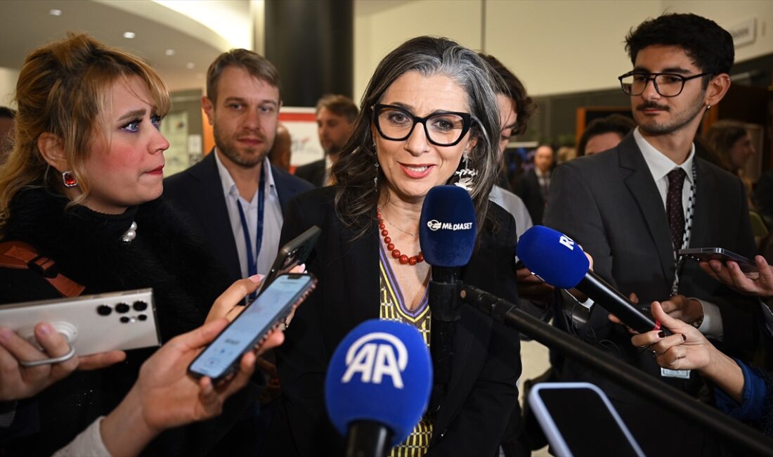 - "Mesele ‘AB yeterince bir şey yapmıyor’ değil; AB, üye