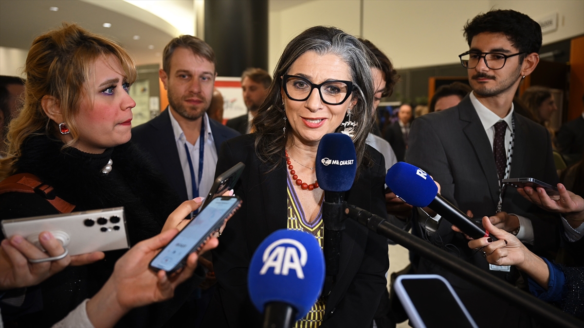 - "Mesele ‘AB yeterince bir şey yapmıyor’ değil; AB, üye