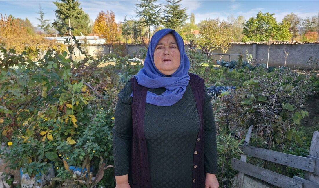 - Amasya'nın Gümüşhacıköy ilçesinde yaşayan 52 yaşındaki Emine Elmas, 13