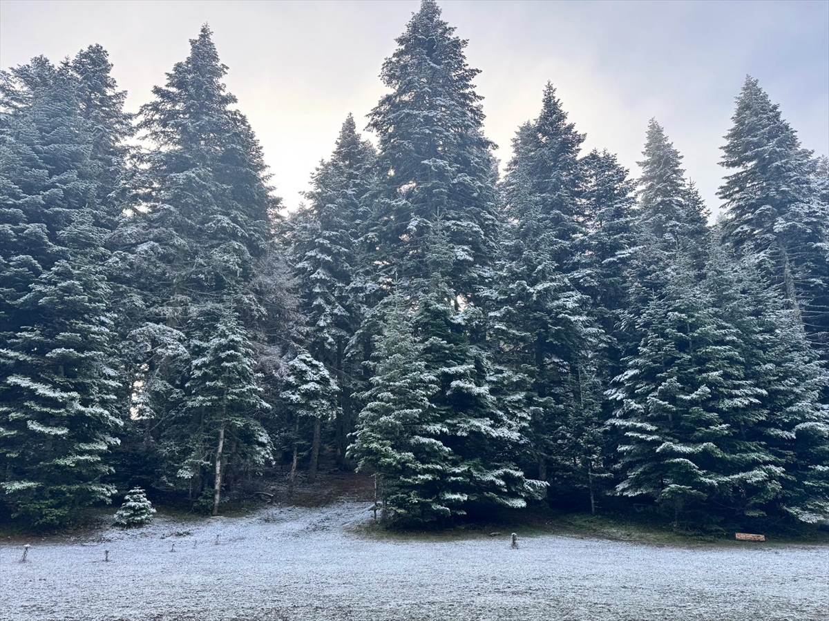BOLU (AA) – Bolu'nun yüksek kesimlerinde kar etkili oldu. Gerede