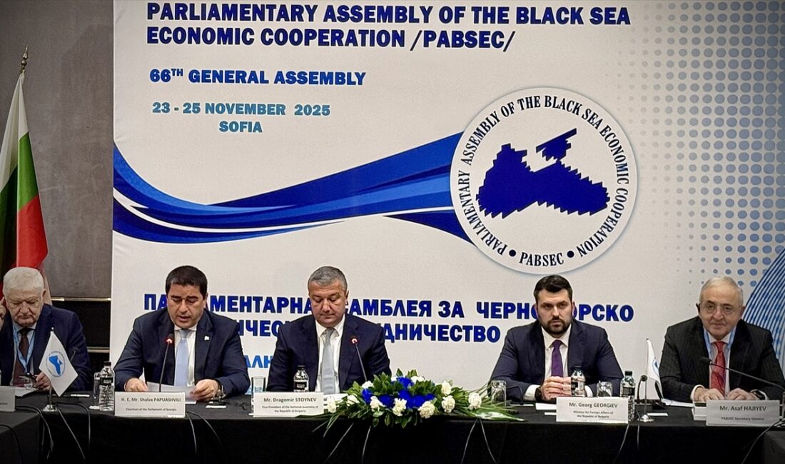 - Bulgaristan, KEİPA Dönem Başkanlığını Gürcistan'a devretti
- KEİPA Türkiye Grubu