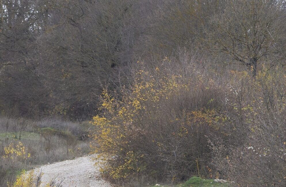 BOLU (AA) – Türkiye Otomobil Sporları Federasyonu (TOSFED) tarafından Bolu'da