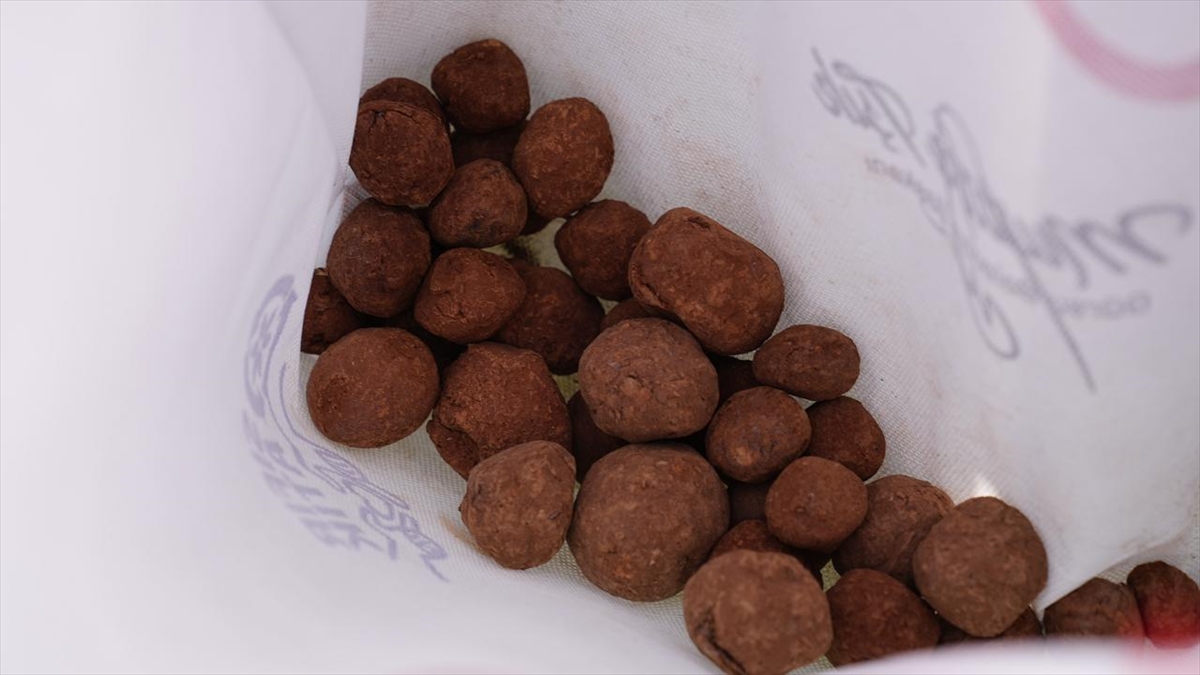 BURSA (AA) – Bursa'da öğrenciler tarafından hazırlanan tohum topları, Gürsu