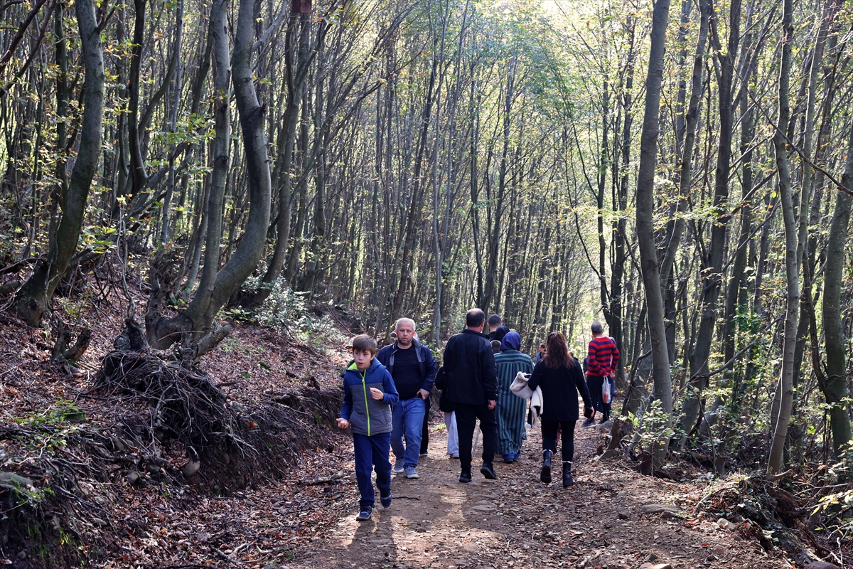 SAMSUN (AA) – Samsun'un Canik ilçesindeki ormanlık alana kurulan "Canik