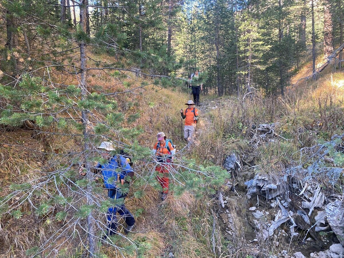 ÇANKIRI (AA) – Çankırı'da dağcılar, Cumhuriyet'in 102. yılını Ilgaz Dağı'nın