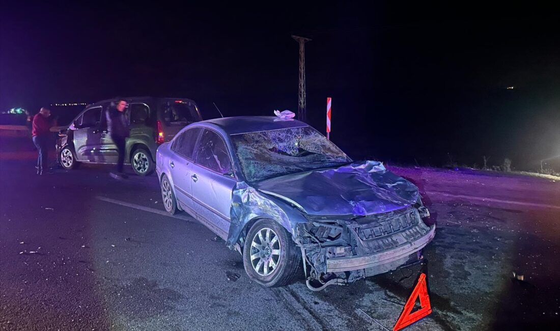 ÇORUM (AA) – Çorum'un Alaca ilçesinde iki otomobilin büyükbaş hayvana