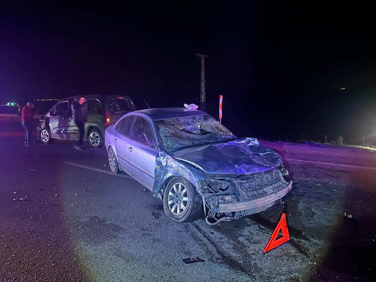 ÇORUM (AA) – Çorum'un Alaca ilçesinde iki otomobilin büyükbaş hayvana