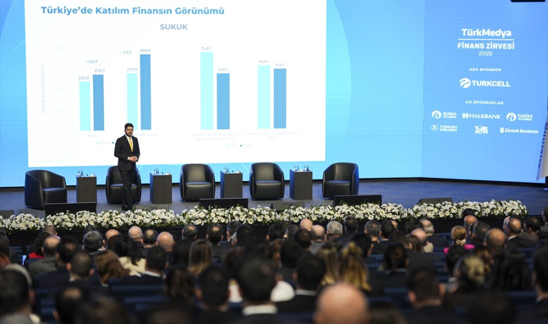 - "Türkiye artık diplomasi, kültürel faaliyetler, savunma gibi birçok alanda