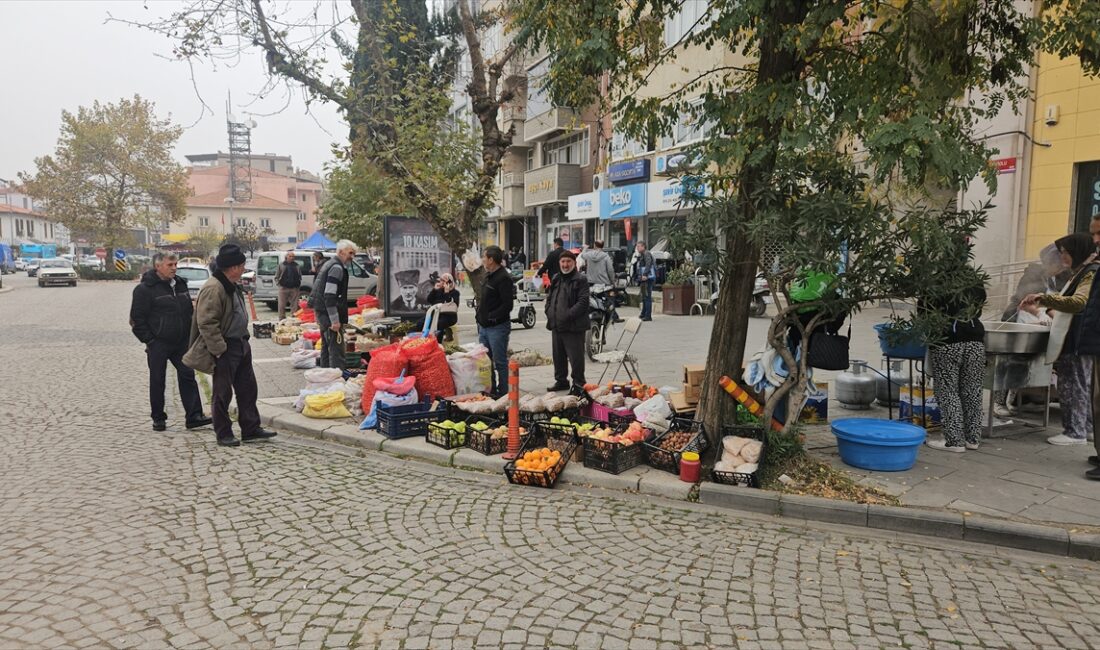 BALIKESİR (AA) – Balıkesir'in Sındırgı ilçesinde 10 Ağustos ve 27