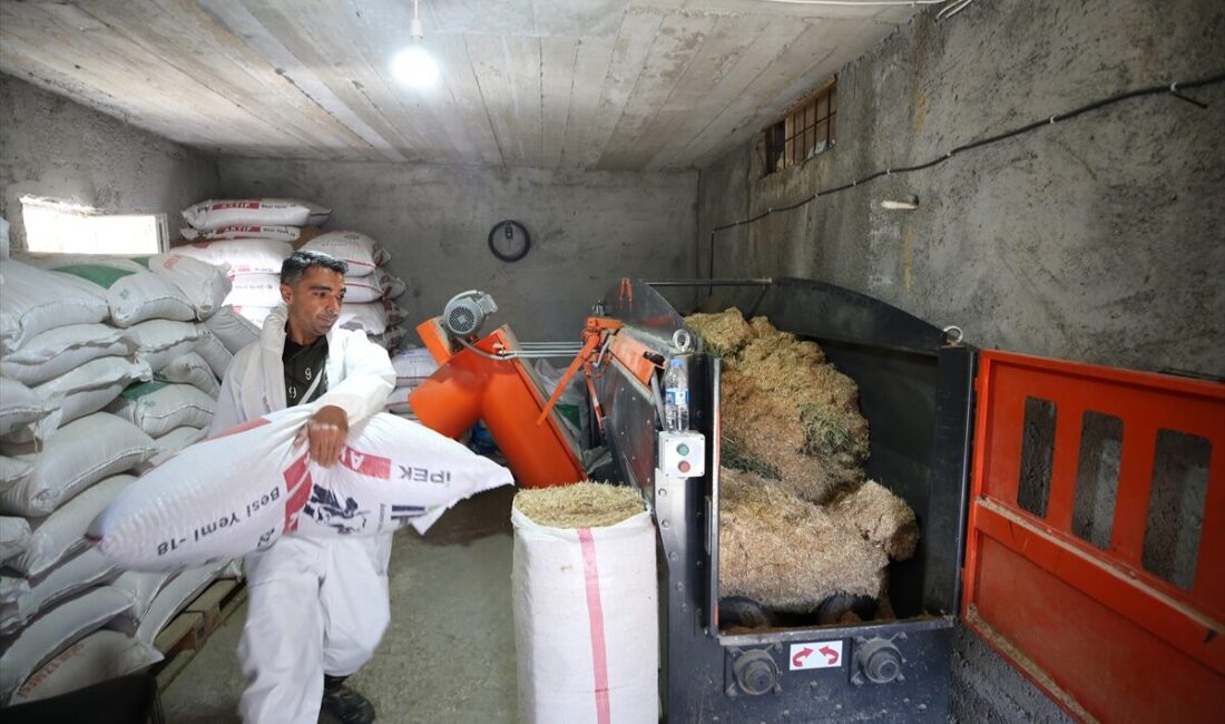 - Muş'ta devletin sağladığı desteklerden yararlanarak aldığı 10 büyükbaş hayvanla