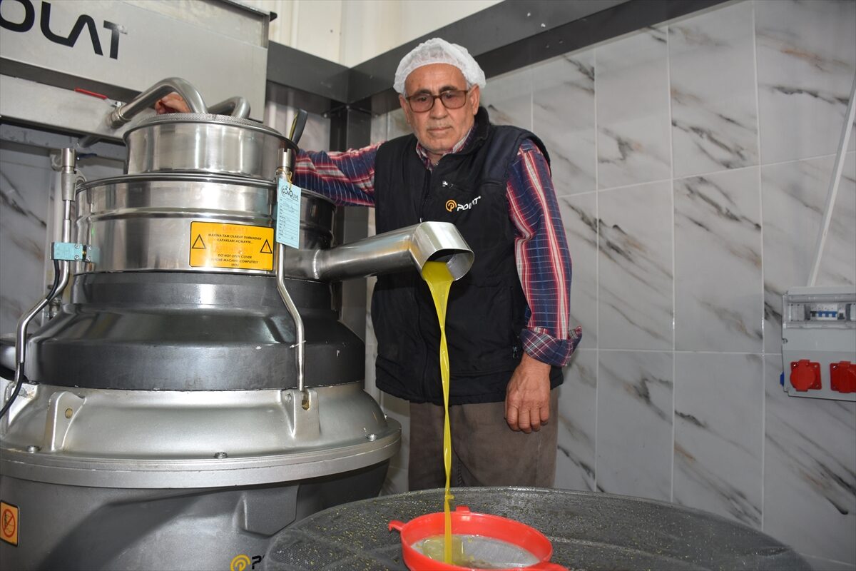 - Karaman'daki tesisin sahibi Şerafettin Uyar:
- "Vatandaş önceden zeytin sıktırmak