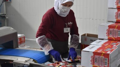 - Afyonkarahisar'da 110 kişinin çalıştığı firmanın genel müdürü Süleyman Aşgın:
-