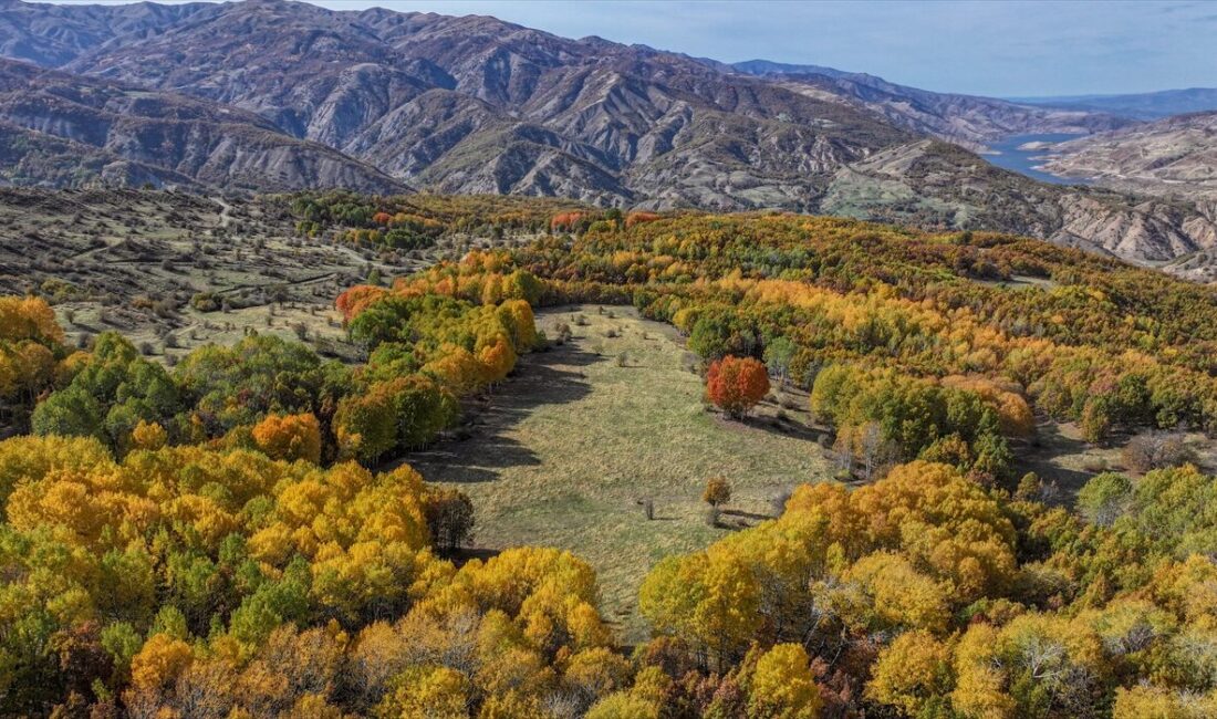 DİYARBAKIR (AA) – Diyarbakır'ın Kulp ilçesinin Muş sınırında bulunan Andok