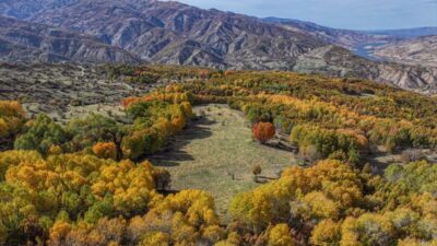 DİYARBAKIR (AA) – Diyarbakır'ın Kulp ilçesinin Muş sınırında bulunan Andok