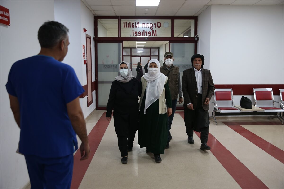 - Kan uyuşmazlığı nedeniyle yakınlarından böbrek nakli olamayan iki diyaliz