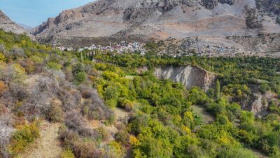 - Çüngüş ilçesinin Akdeniz iklimine sahip kırsal Geçit Mahallesi'nde üretilen