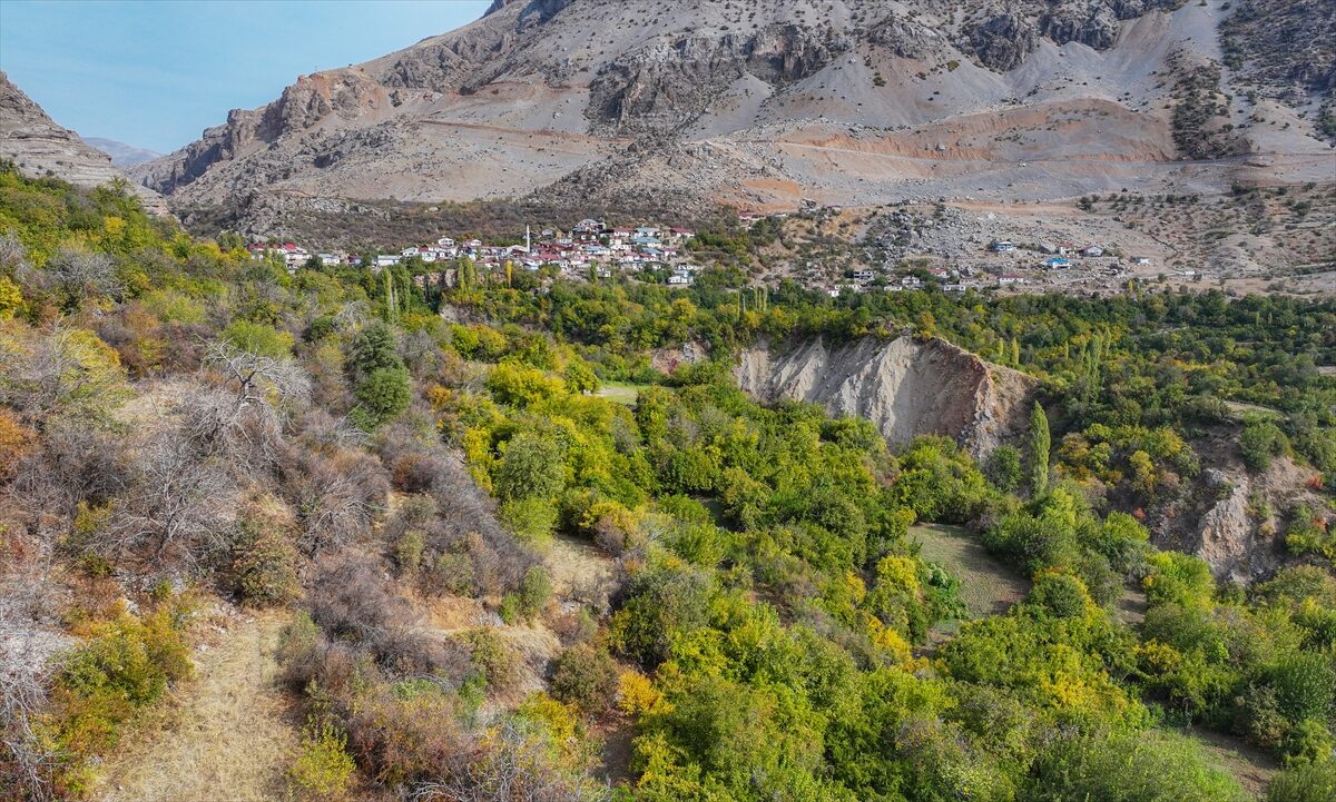 - Çüngüş ilçesinin Akdeniz iklimine sahip kırsal Geçit Mahallesi'nde üretilen