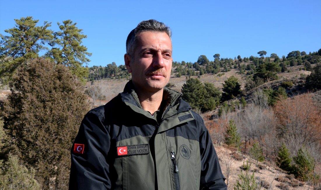 - Kars, Erzurum, Erzincan, Ardahan, Ağrı ve Iğdır'da artan bal