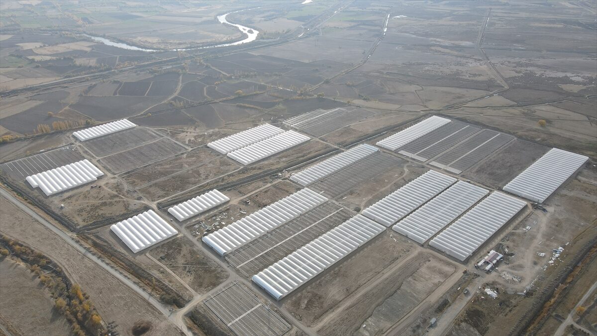 - Erzincan Valiliği öncülüğünde kentte hayata geçirilen Toplu Sera Bölgesi