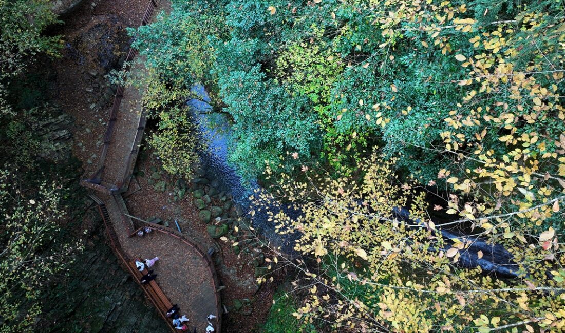 DÜZCE (AA) – Düzce'nin Akçakoca ilçesinde yer alan Aktaş Şelalesi,